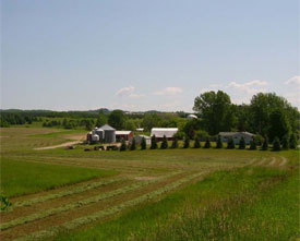 Photo of the Hall farm.